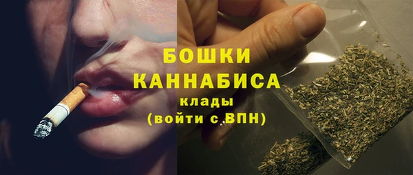 ПСИЛОЦИБИНОВЫЕ ГРИБЫ Бородино