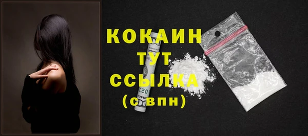 ПСИЛОЦИБИНОВЫЕ ГРИБЫ Бородино
