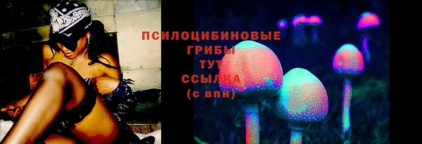 ПСИЛОЦИБИНОВЫЕ ГРИБЫ Бородино