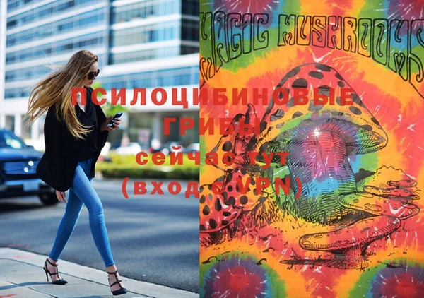 стафф Бугульма