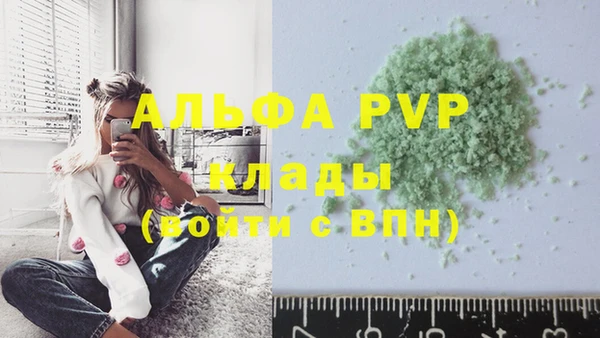 ПСИЛОЦИБИНОВЫЕ ГРИБЫ Бородино