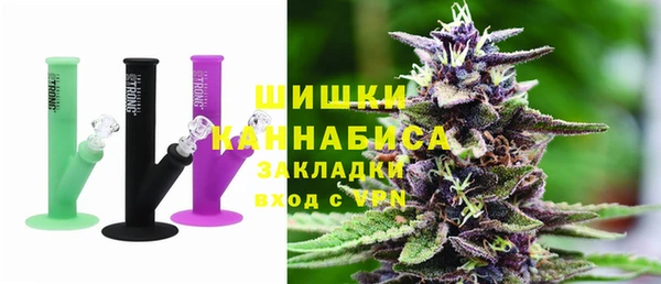 ПСИЛОЦИБИНОВЫЕ ГРИБЫ Бородино