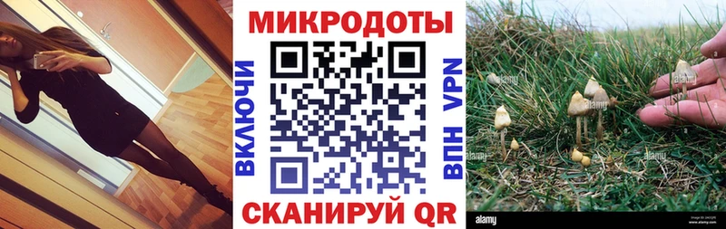 Псилоцибиновые грибы ЛСД Липецк